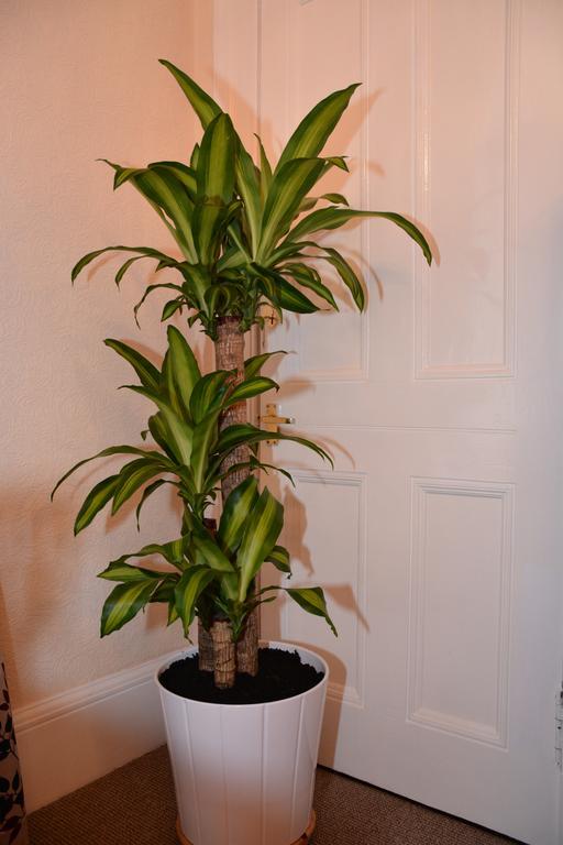 Wallace Apartment Stirling Quarto foto